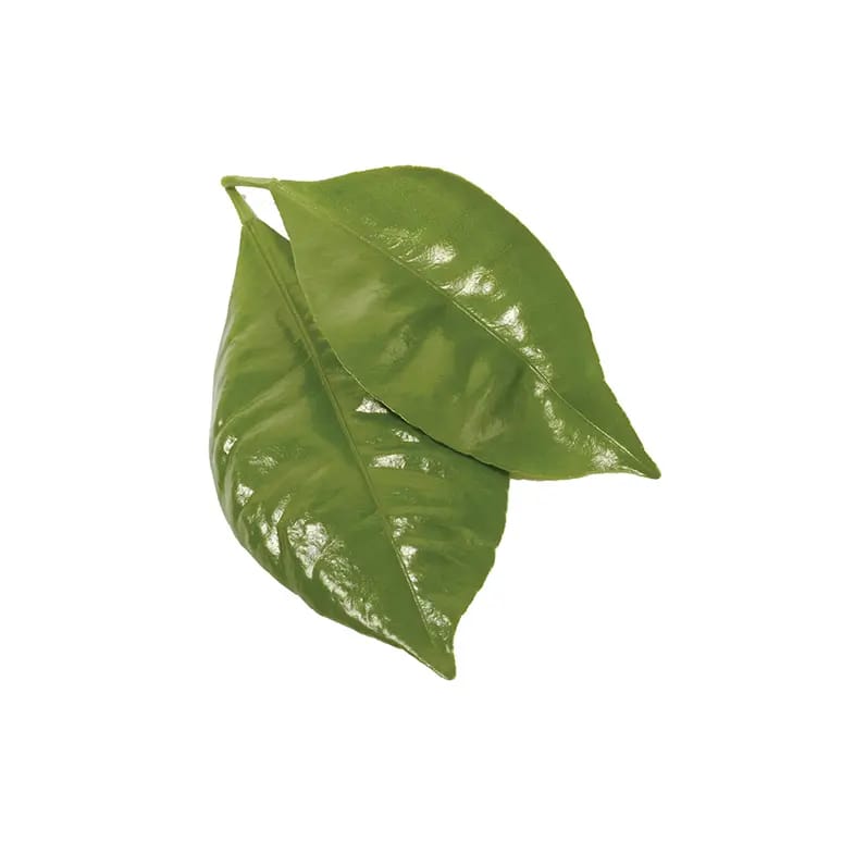 Gorka pomoranža - Image 2