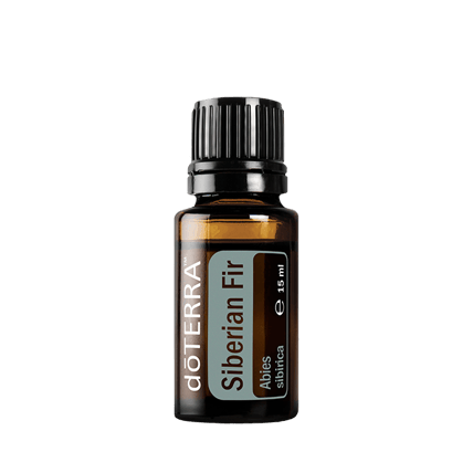 Sibirska jela eterično ulje - Abies sibirica