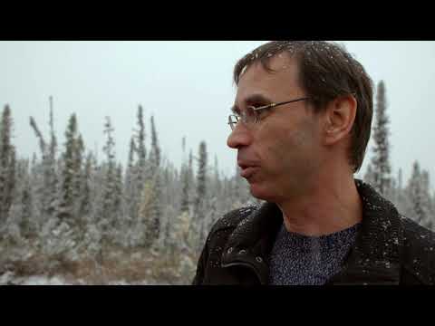Behind The Bottle | Black Spruce