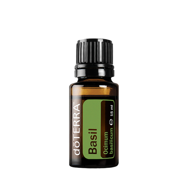 Eterično ulje bosiljka - Ocimum basilicum